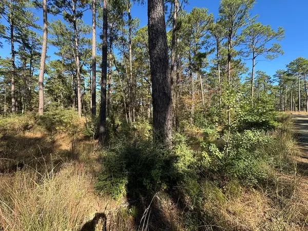 Lot 016 Pr 6028, Brookeland, TX 75931