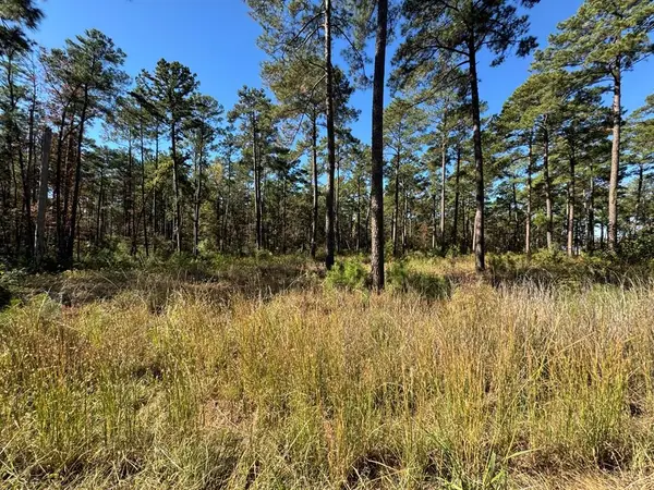 Lot 031 Pr 6026, Brookeland, TX 75931