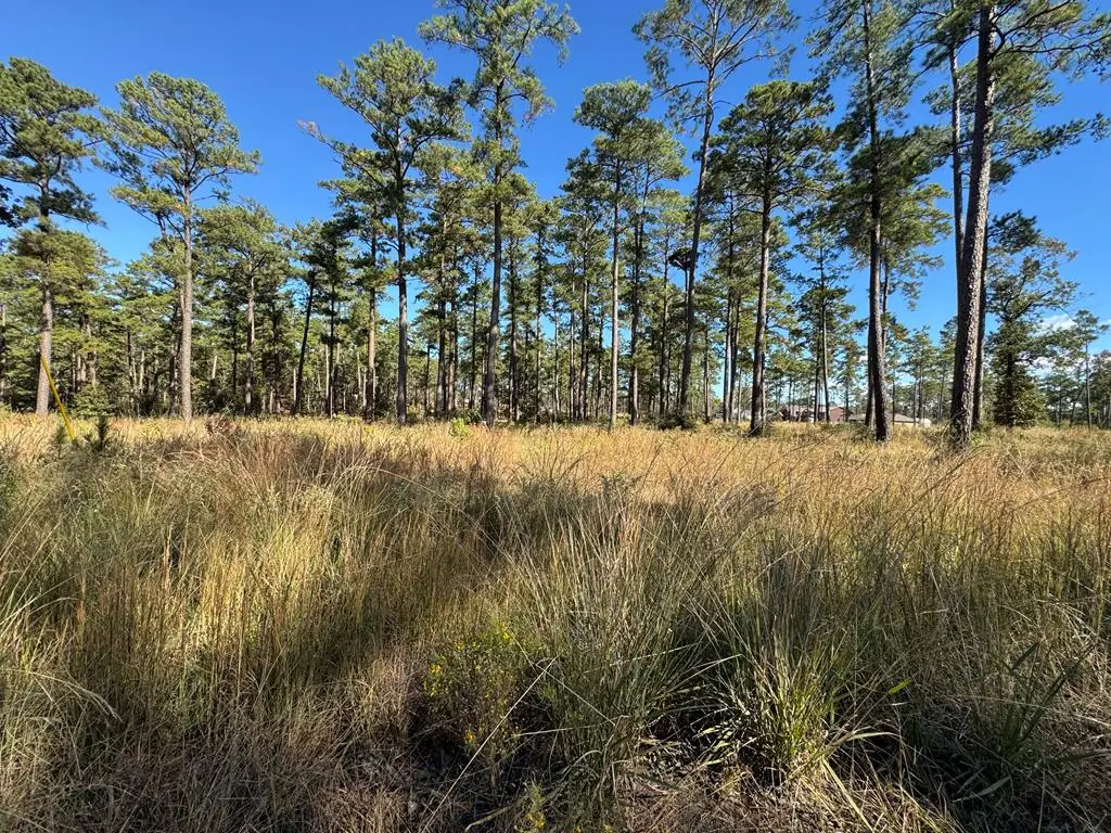 Lot 033 Pr 6026, Brookeland, TX 75931 - #1
