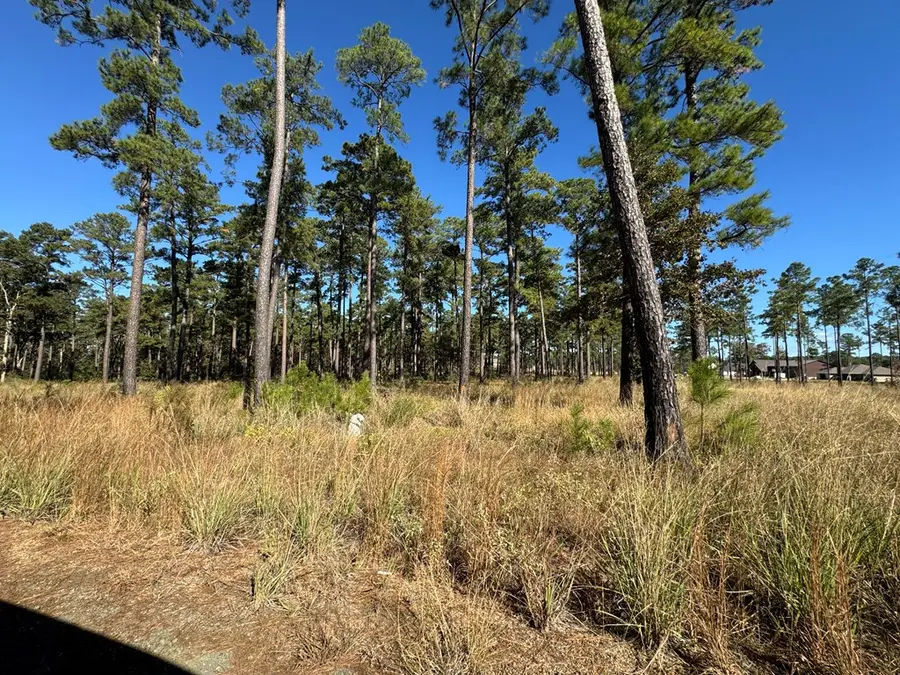 Lot 033 Pr 6026, Brookeland, TX 75931 - #2