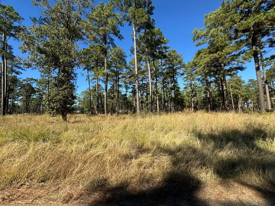 Lot 033 Pr 6026, Brookeland, TX 75931 - #3