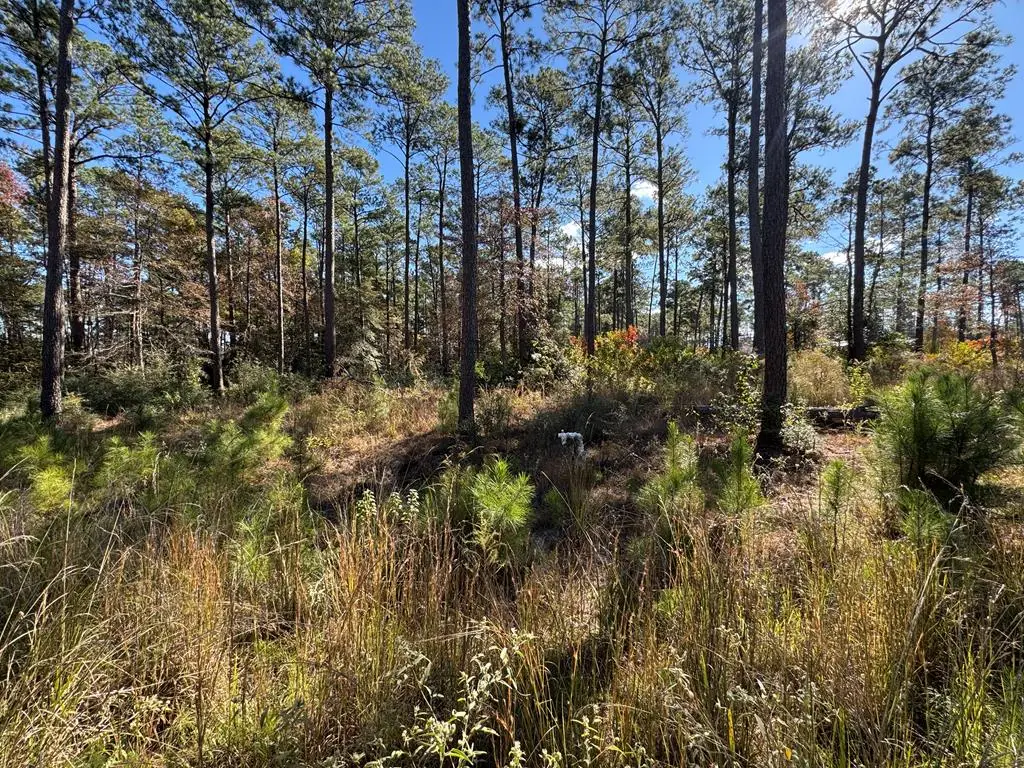 Lot 054 Pr 6028, Brookeland, TX 75931 - #1