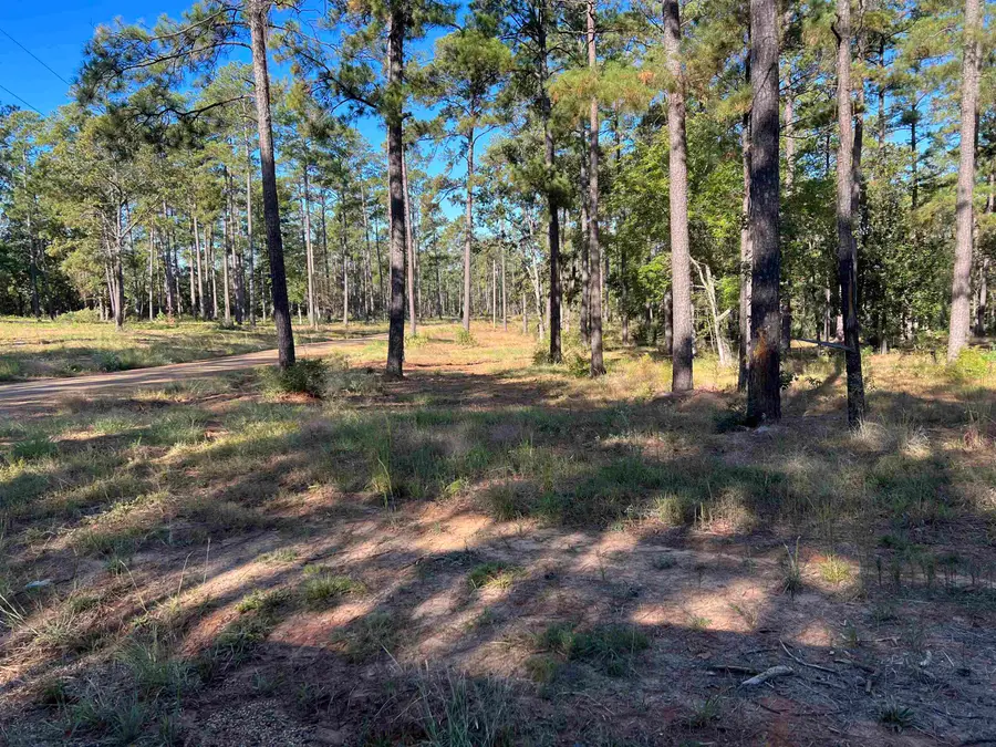 Lot 054 Pr 6028, Brookeland, TX 75931 - #3