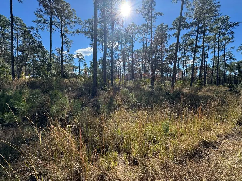 Lot 055 Private Rd 6028, Brookeland, TX 75931 - #1