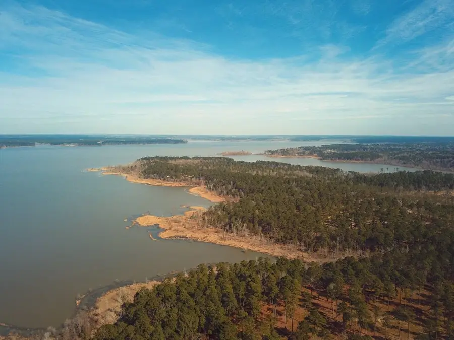 Lot 055 Private Rd 6028, Brookeland, TX 75931 - #3