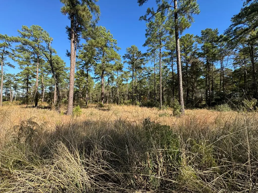 Lot 056 Private Rd 6028, Brookeland, TX 75931 - #1