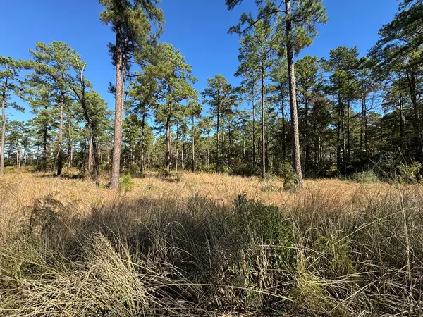 Lot 056 Private Rd 6028, Brookeland, TX 75931