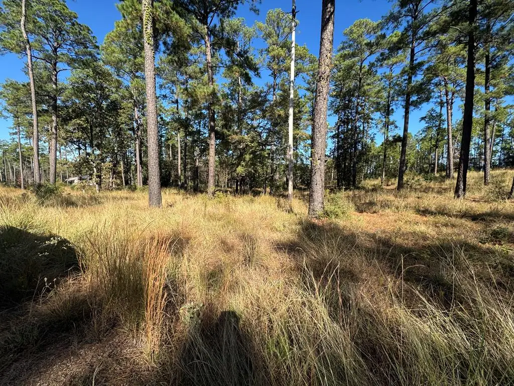 Lot 063 Private Rd 6026, Brookeland, TX 75931 - #1