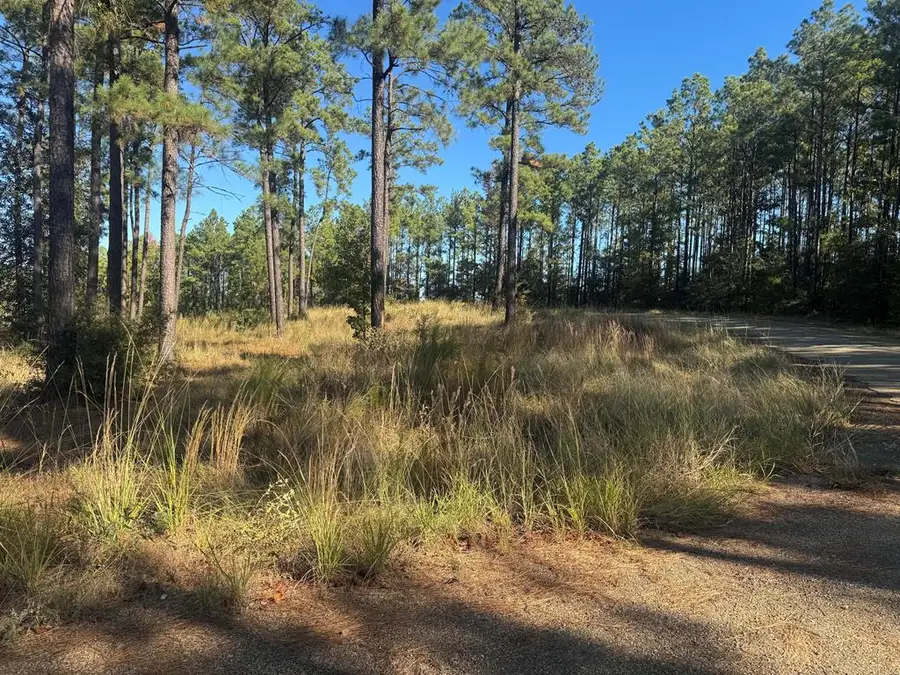 Lot 063 Private Rd 6026, Brookeland, TX 75931 - #2