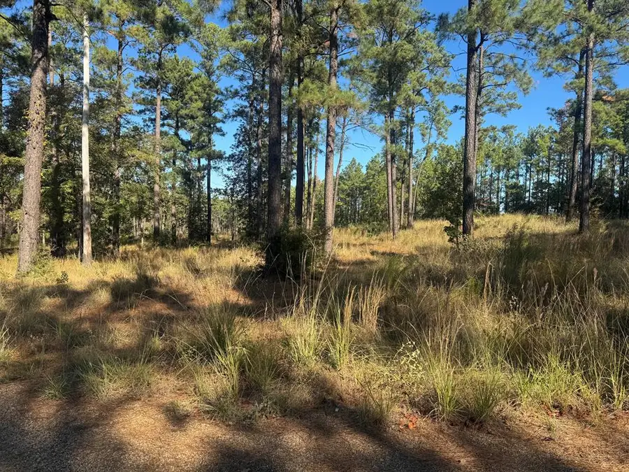 Lot 063 Private Rd 6026, Brookeland, TX 75931 - #3