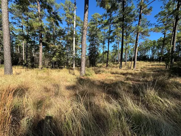 Lot 065 Private Rd 6026, Brookeland, TX 75931