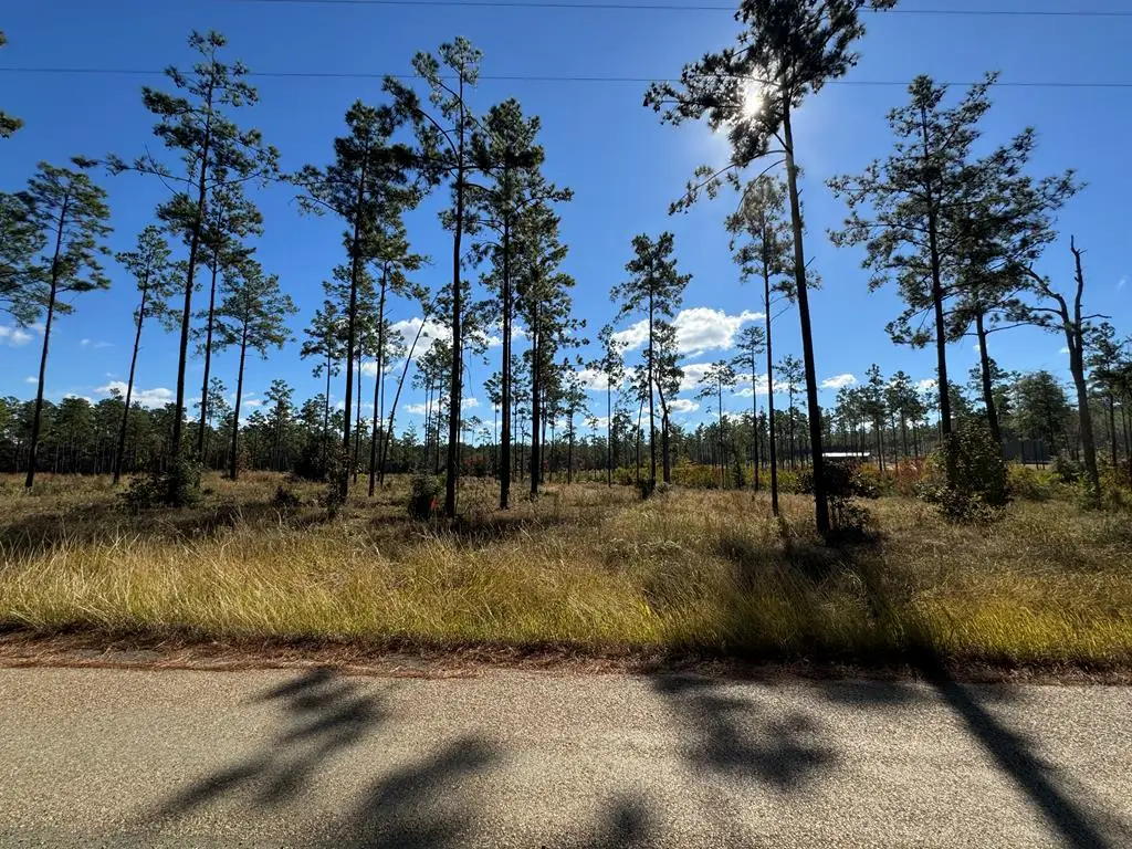 Lot 085 Pr 6026, Brookeland, TX 75931 - #1