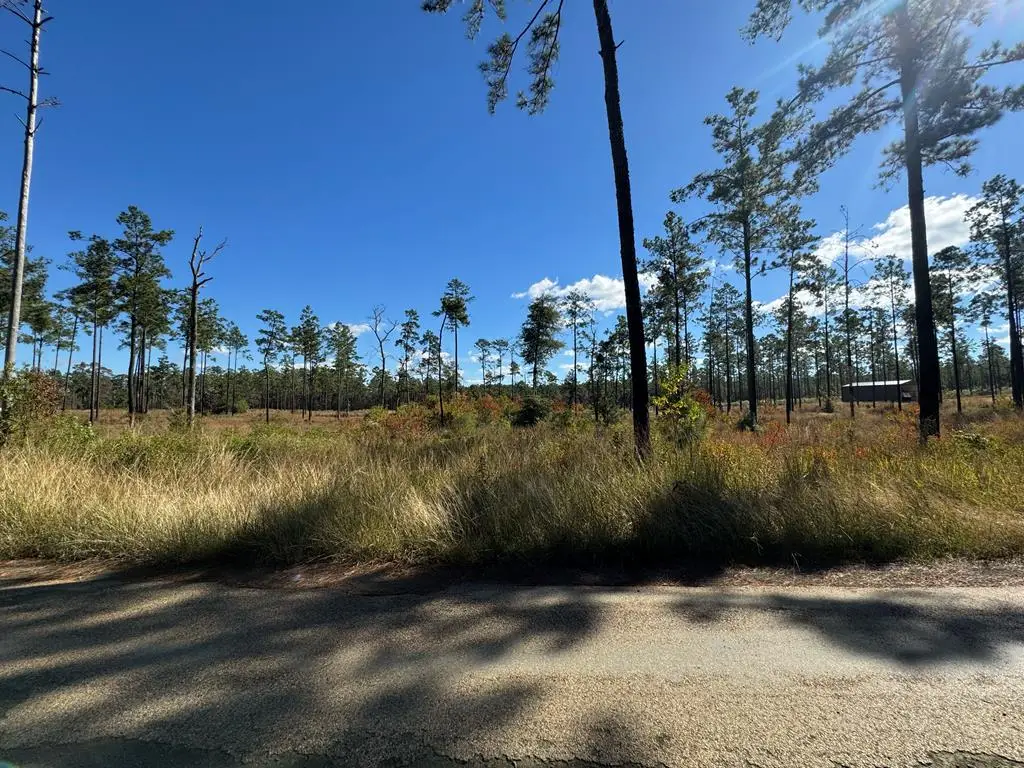 Lot 086 Pr 6026, Brookeland, TX 75931 - #1