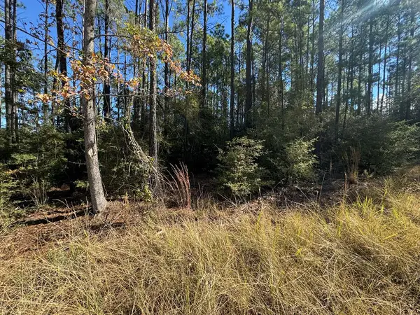 Lot 092 Pr 6026, Brookeland, TX 75931