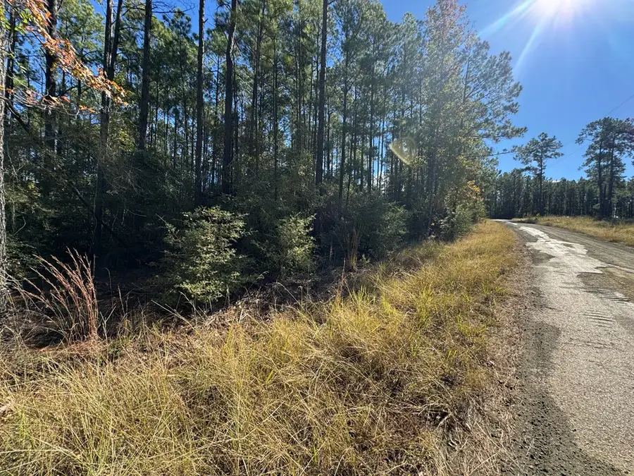 Lot 092 Pr 6026, Brookeland, TX 75931 - #2