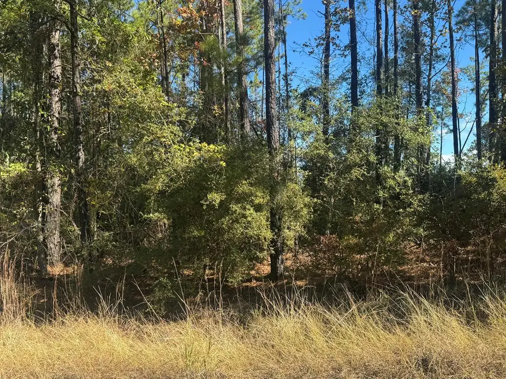 Lot 093 Pr 6026, Brookeland, TX 75931 - #1