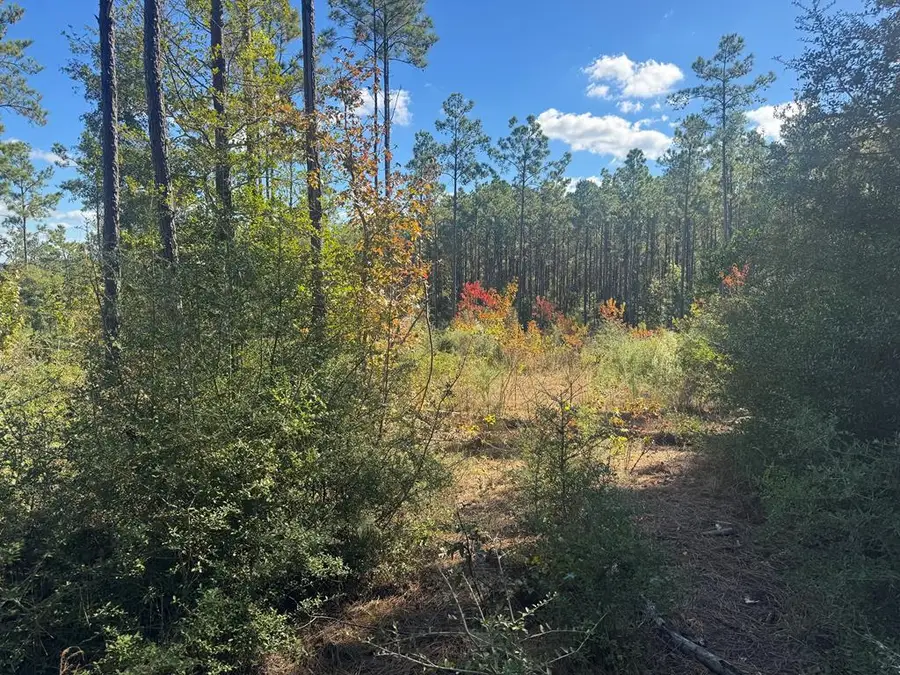 Lot 094 Pr 6026, Brookeland, TX 75931 - #2