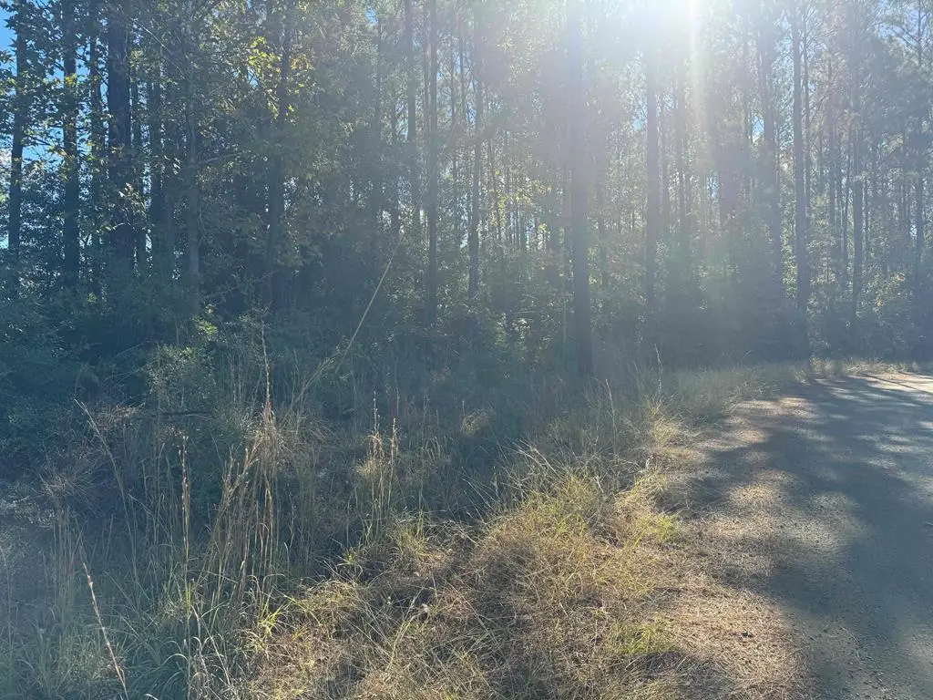 Lot 095 Pr 6026, Brookeland, TX 75931 - #1