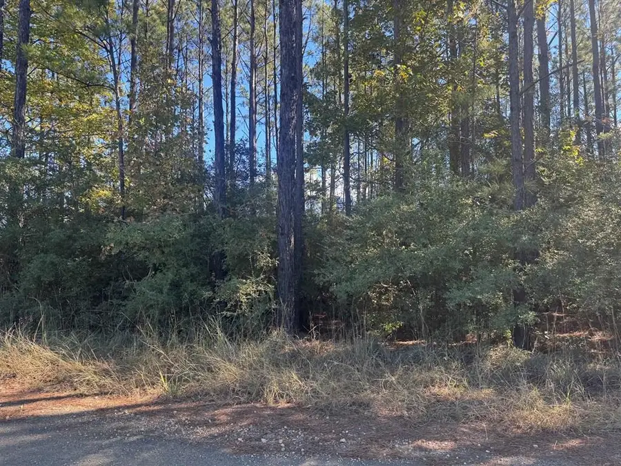 Lot 095 Pr 6026, Brookeland, TX 75931 - #3