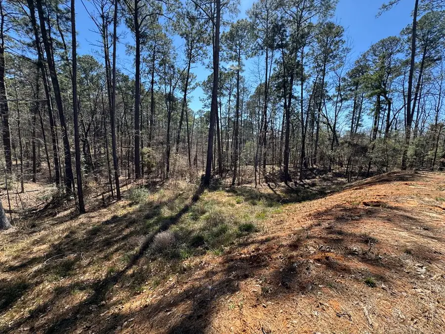 277 Brentwood Drive, Brookeland, TX 75931 - #3