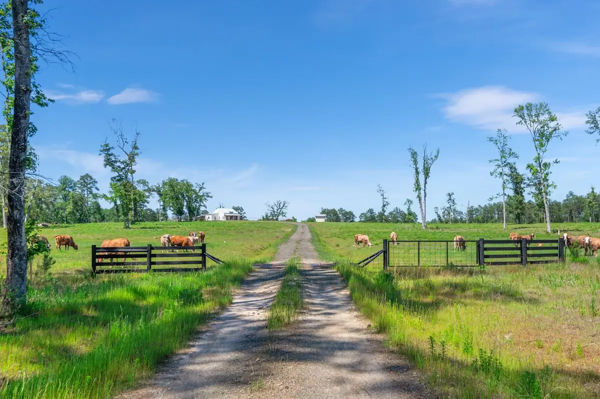 1681 County Road 3400, Colmesneil, TX 75938 - #1