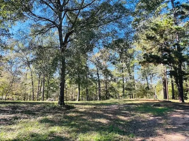 199 Davy Crockett Court, Hemphill, TX 75948 - #2