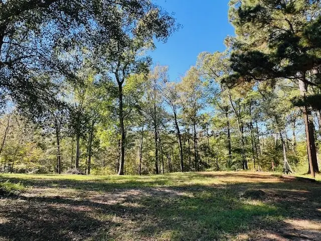 199 Davy Crockett Court, Hemphill, TX 75948 - #3