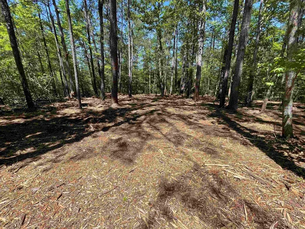 237 Senita Drive, Brookeland, TX 75931 - #1