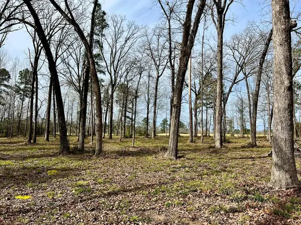 3.48 Roberts Lane, Diboll, TX 75941