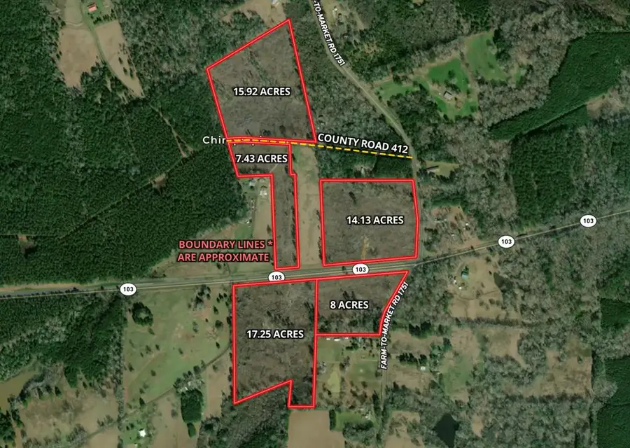 TBD County Road 412, Bronson, TX 75972 - #2
