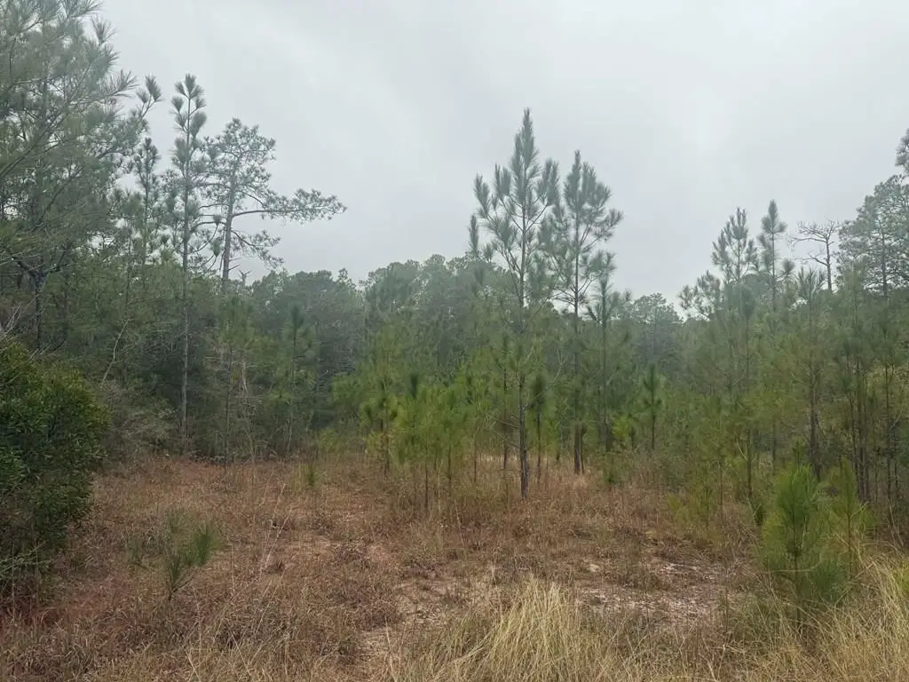 280 Hogan Drive, Brookeland, TX 75931 - #1