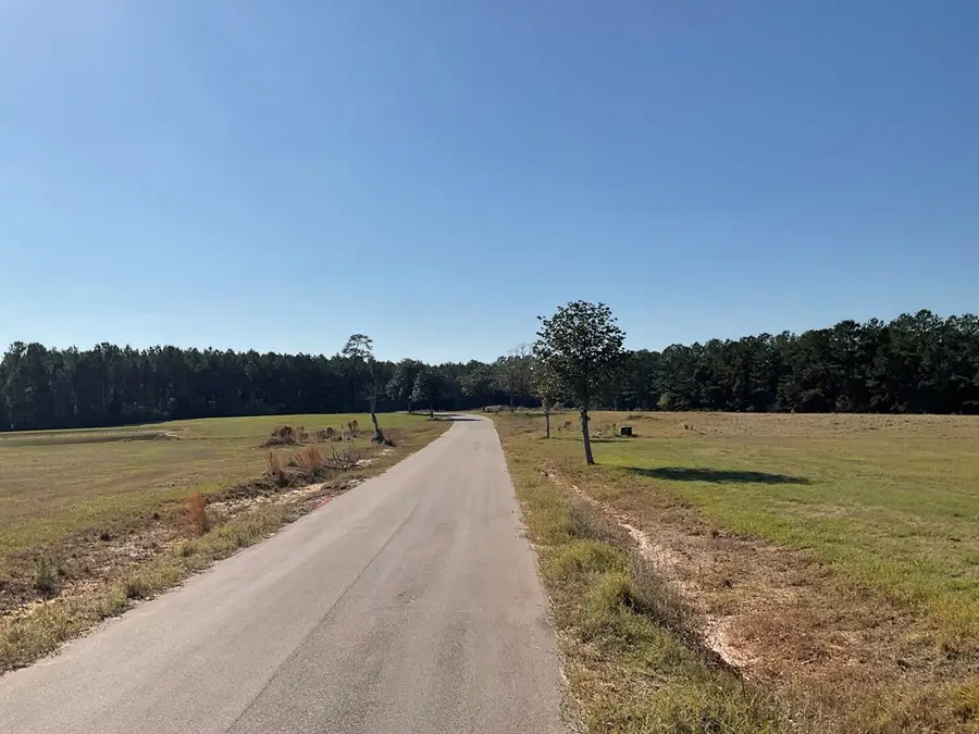 lot 14 Lakeland Circle, Hillister, TX 77624 - #2
