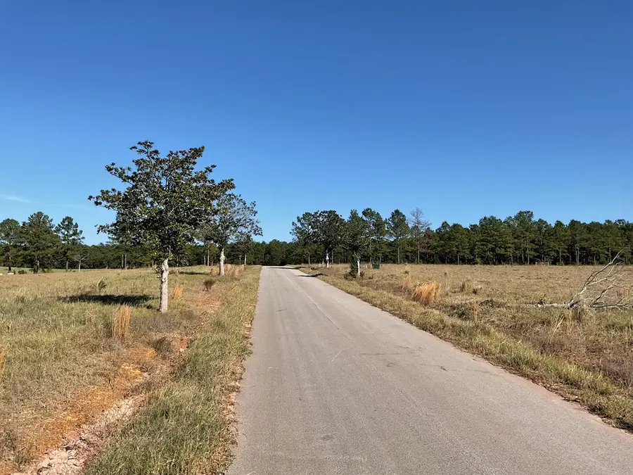 lot 14 Lakeland Circle, Hillister, TX 77624 - #3