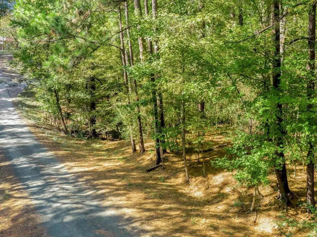 129 Private Rd 7844, Broaddus, TX 75929 - #1