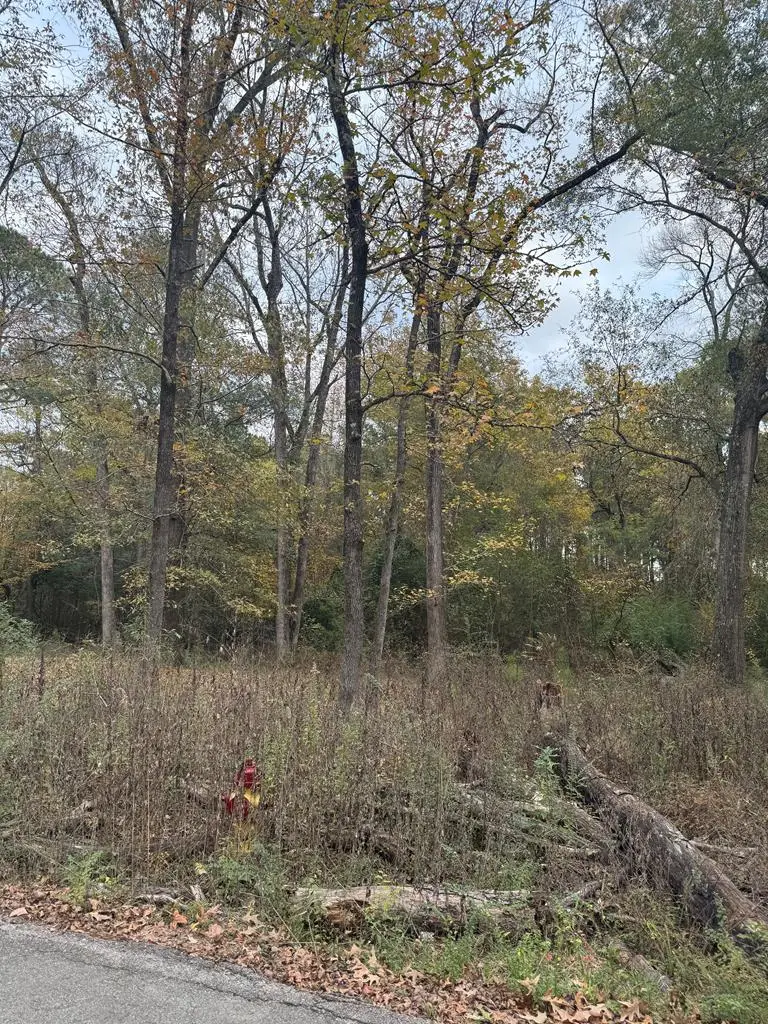 Tract 48 Shady Pine, Lufkin, TX 75901 - #1