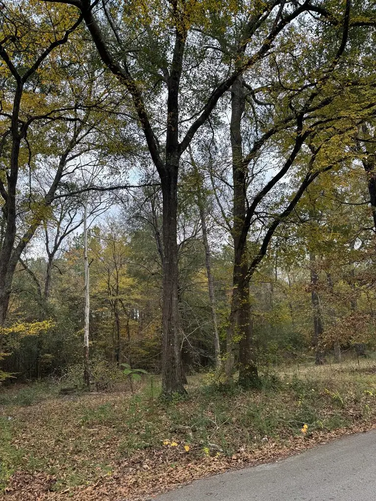 Tract 49 Shady Pine, Lufkin, TX 75901 - #1