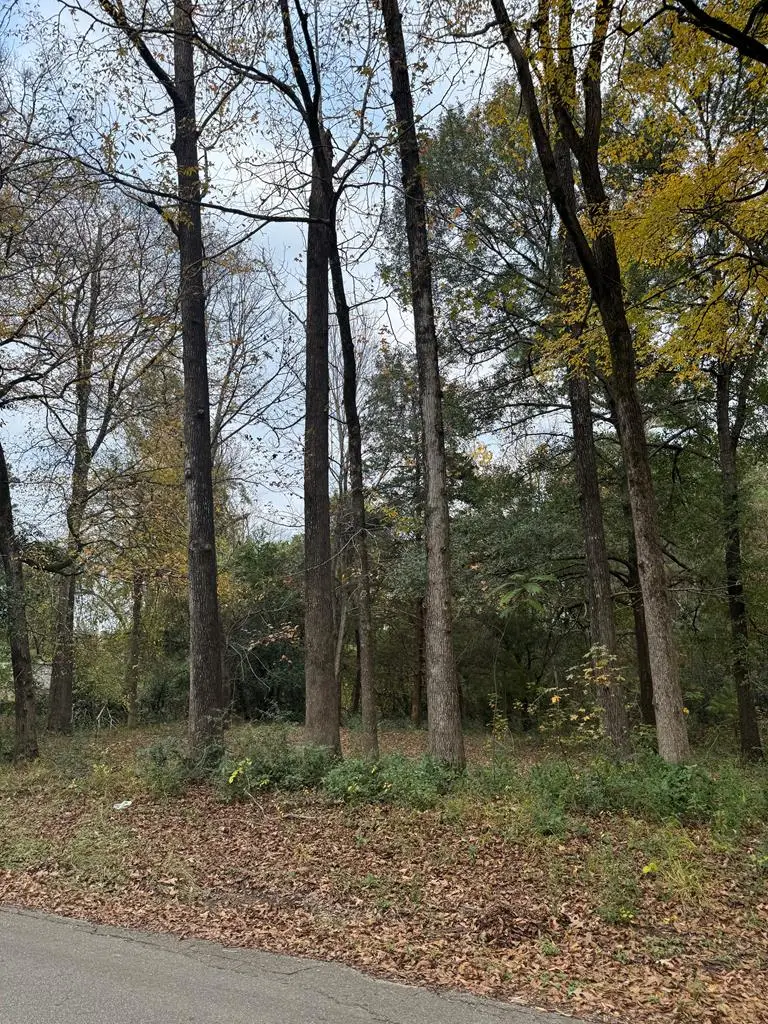 Tract 50 Shady Pine, Lufkin, TX 75901 - #1