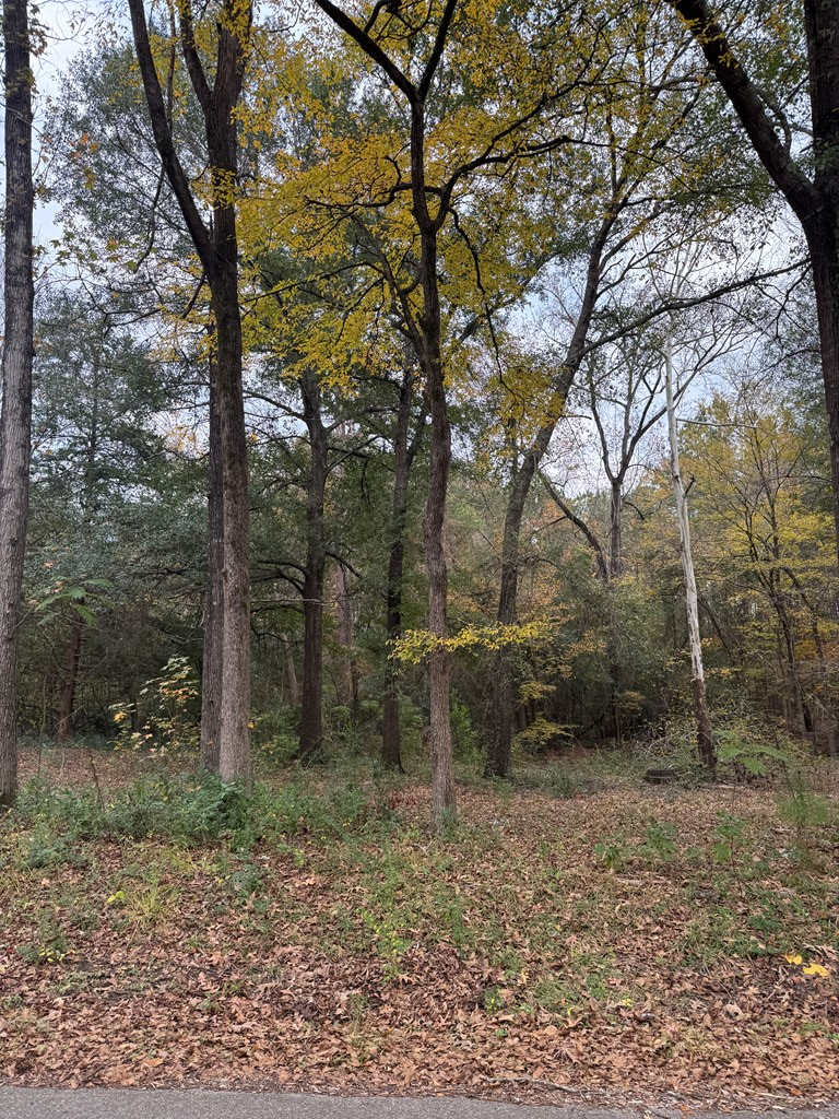 Tract 50 Shady Pine, Lufkin, TX 75901 - #2