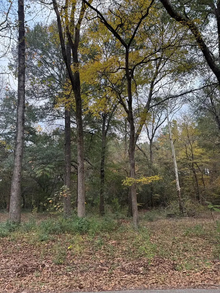 Tract 50 Shady Pine, Lufkin, TX 75901 - #3