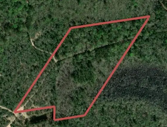 500 Pr 8170, Kirbyville, TX 75956