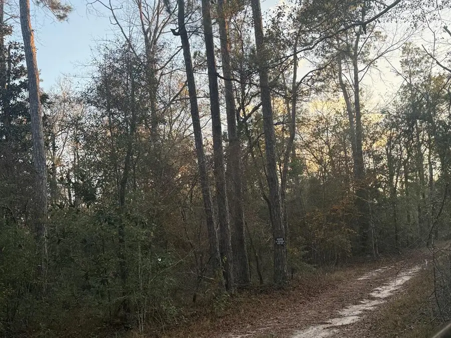 500 Pr 8170, Kirbyville, TX 75956 - #2