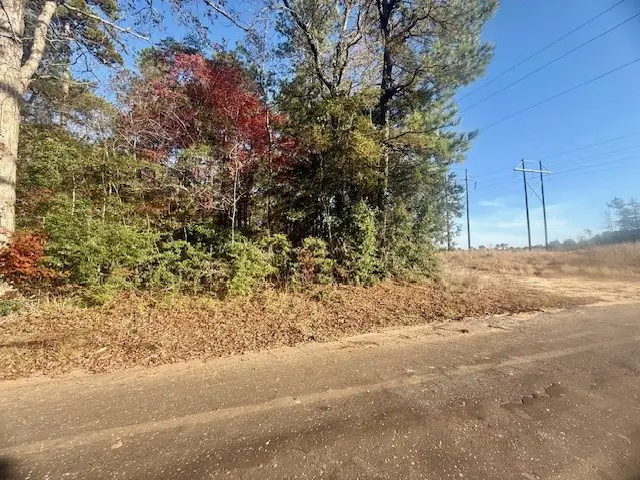 14494/53546 County Road 087, Jasper, TX 75951 - #3