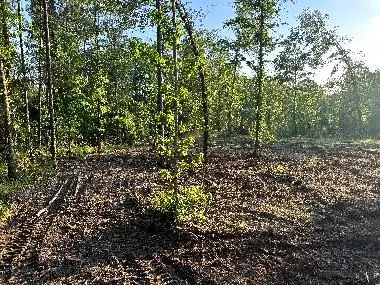 1100 Pr 8012, Broaddus, TX 75929 - #1