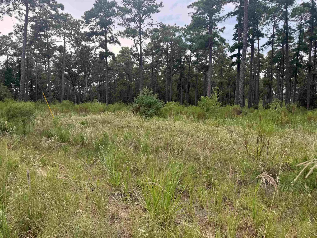 Lot 027 Pr 6028, Brookeland, TX 75931 - #1