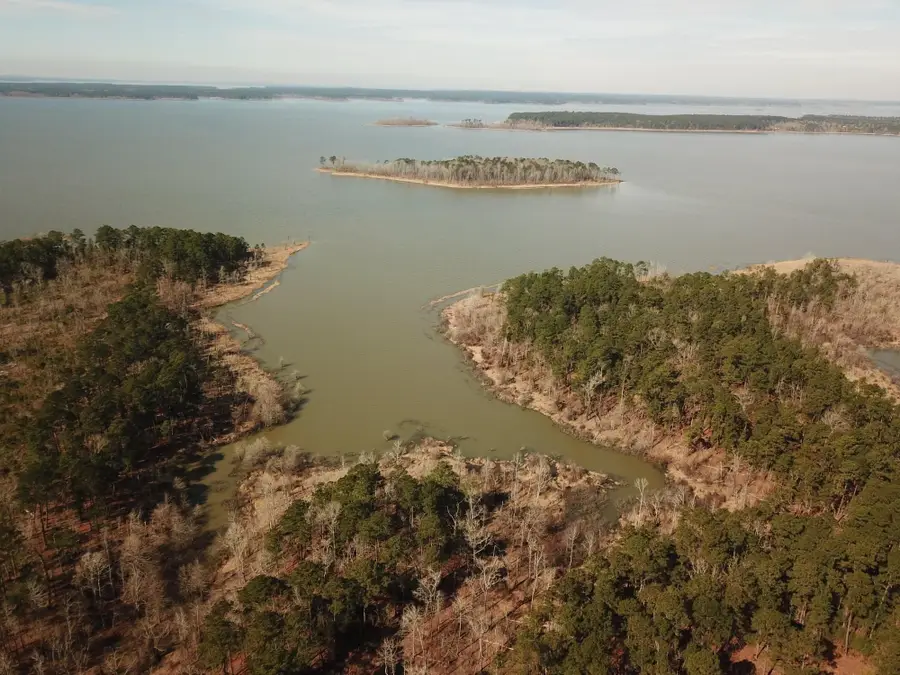 Lot 027 Pr 6028, Brookeland, TX 75931 - #3