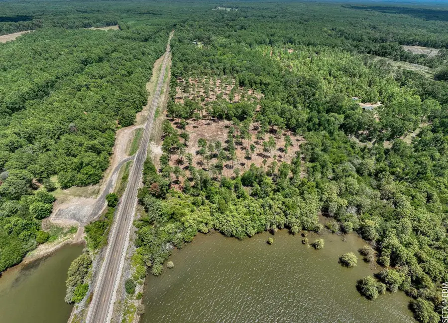 Lot 013 Fm 83, Broaddus, TX 75929 - #2