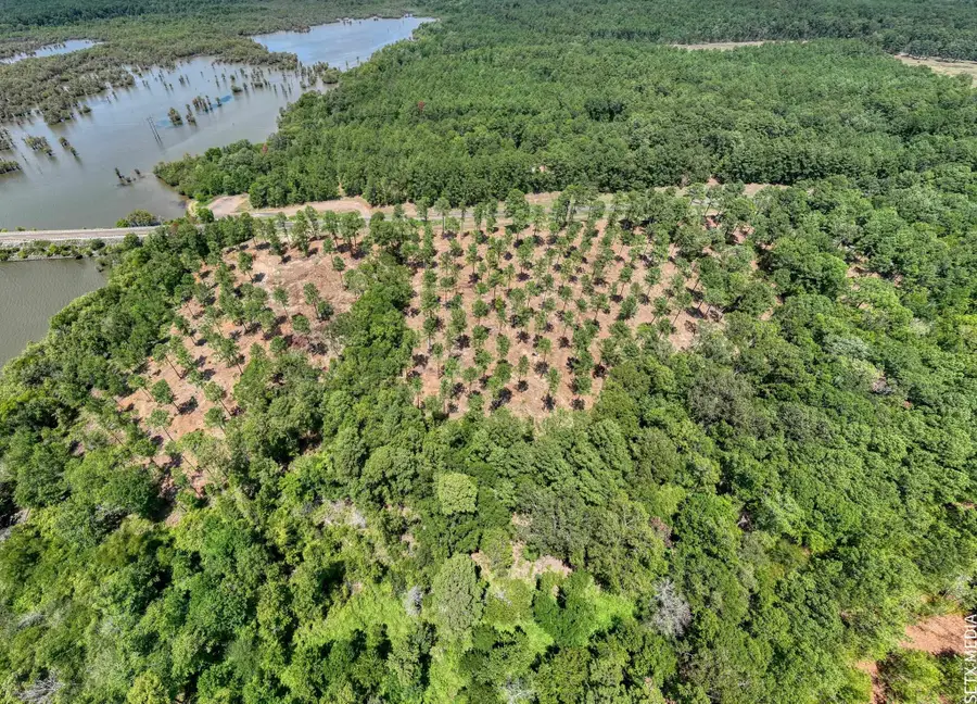 Lot 013 Fm 83, Broaddus, TX 75929 - #3