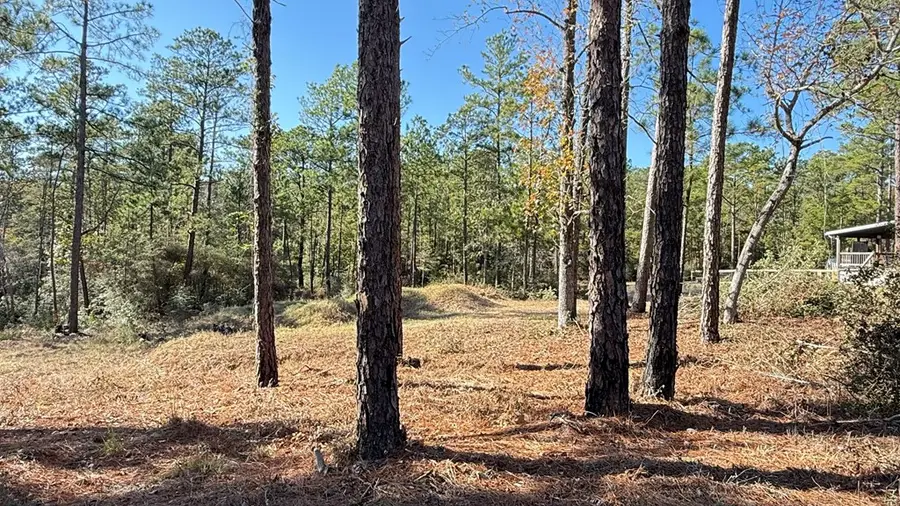 R031928 Inglewood Drive, Brookeland, TX 75931 - #2