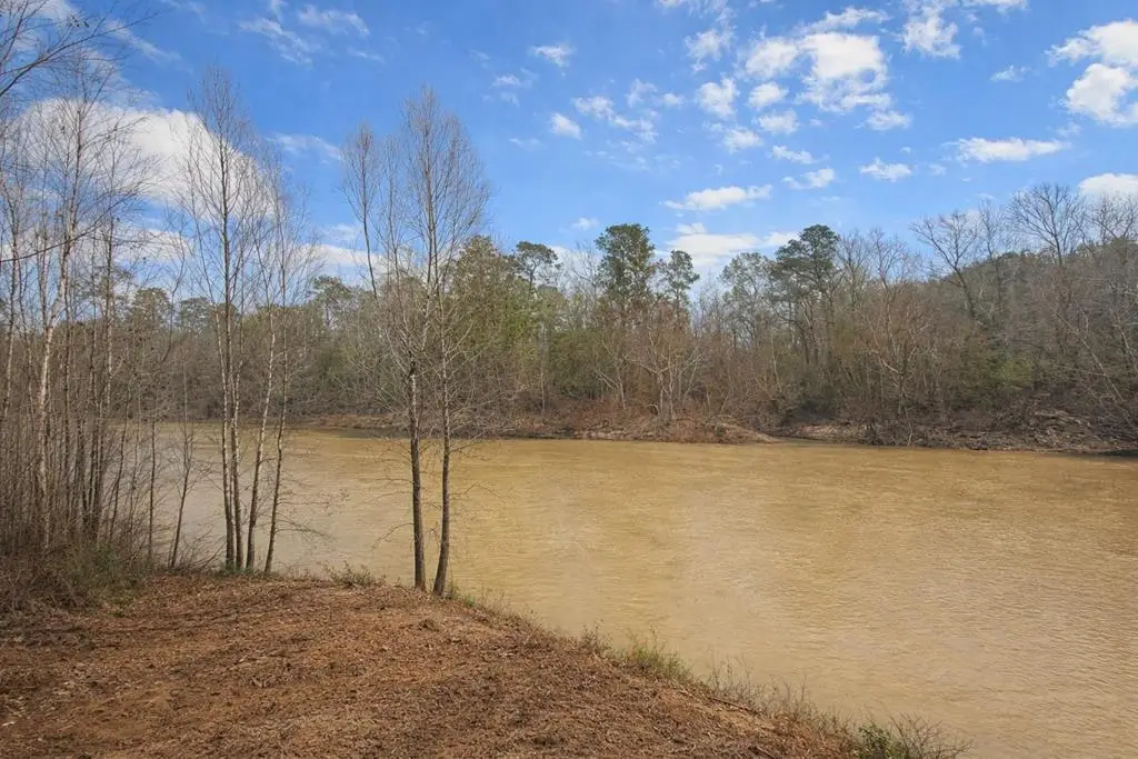 274 County Road 3945, Colmesneil, TX 75938 - #1