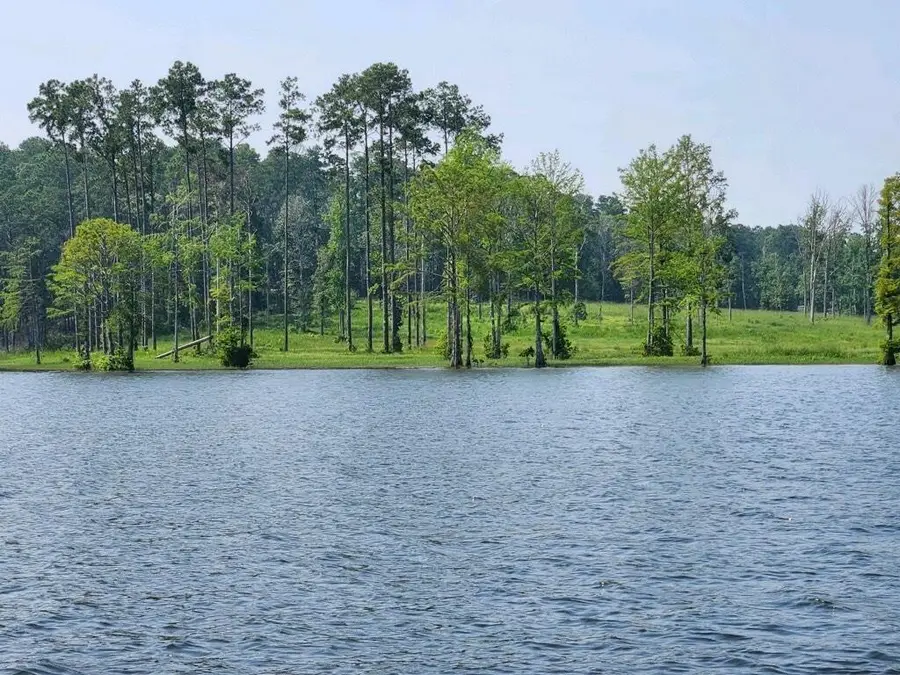 03 Cr 2178, Burkeville, TX 75932 - #2